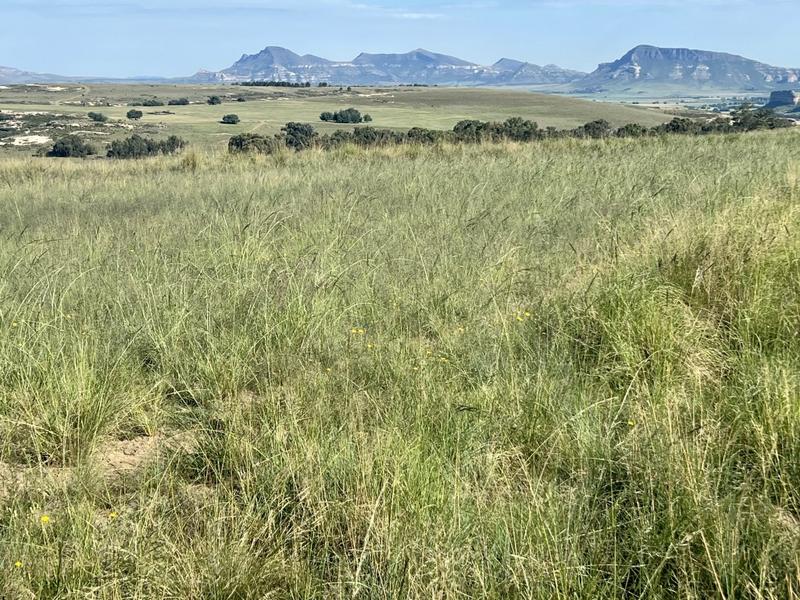 0 Bedroom Property for Sale in Fouriesburg Free State